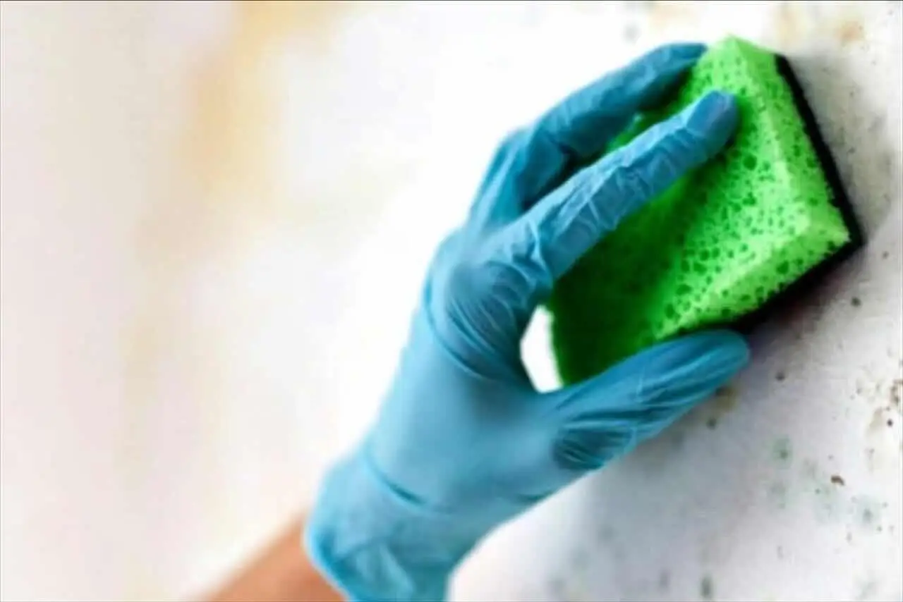 Come disinfettare la spugnetta per i piatti: ecco il trucco Come disinfettare la spugnetta per i piatti: ecco il trucco