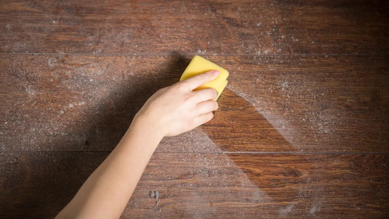 Scopri come evitare la polvere sui lampadari: il consiglio dell’allergologo per giugno Scopri come evitare la polvere sui lampadari: il consiglio dell’allergologo per giugno