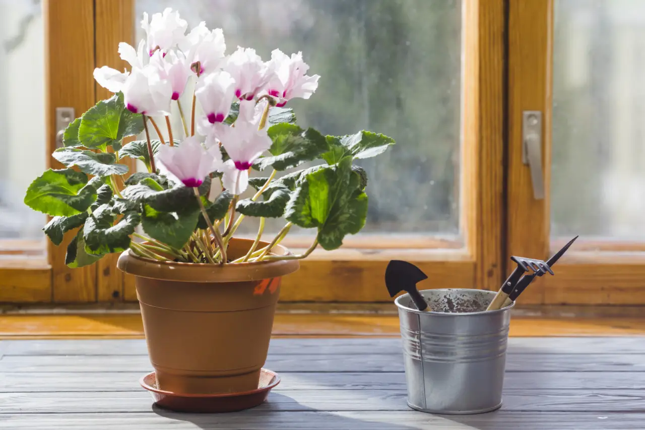 Il trucco per mantenere freschi i fiori recisi in estate: la guida del fiorista aggiornata Il trucco per mantenere freschi i fiori recisi in estate: la guida del fiorista aggiornata