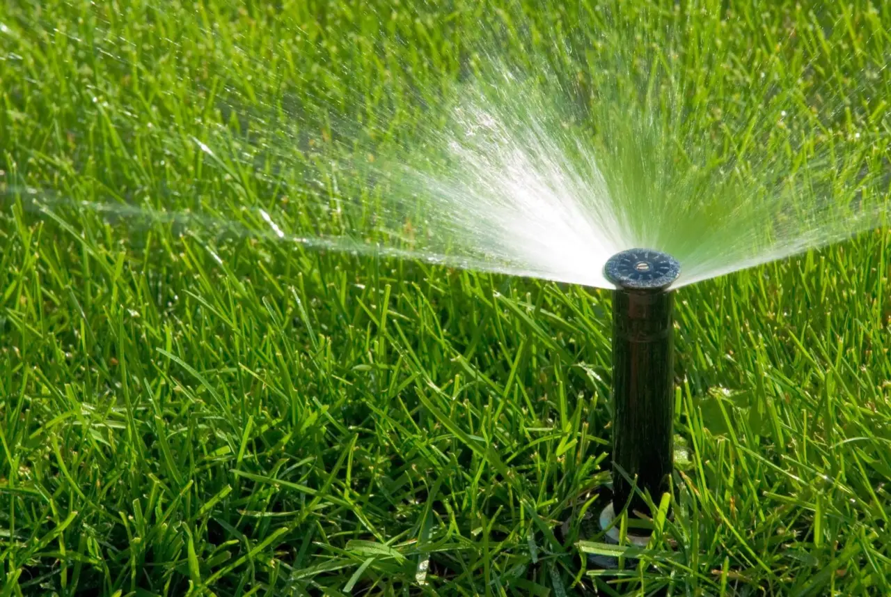 Come irrigare il giardino risparmiando acqua: la strategia della pacciamatura spiegata dagli esperti Come irrigare il giardino risparmiando acqua: la strategia della pacciamatura spiegata dagli esperti