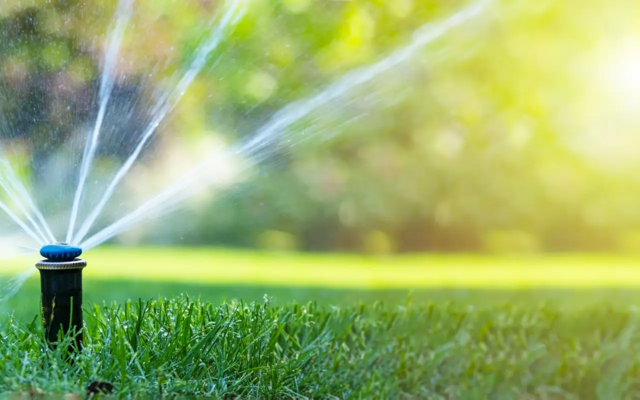 Come irrigare il giardino risparmiando acqua: la strategia della pacciamatura spiegata dagli esperti Come irrigare il giardino risparmiando acqua: la strategia della pacciamatura spiegata dagli esperti