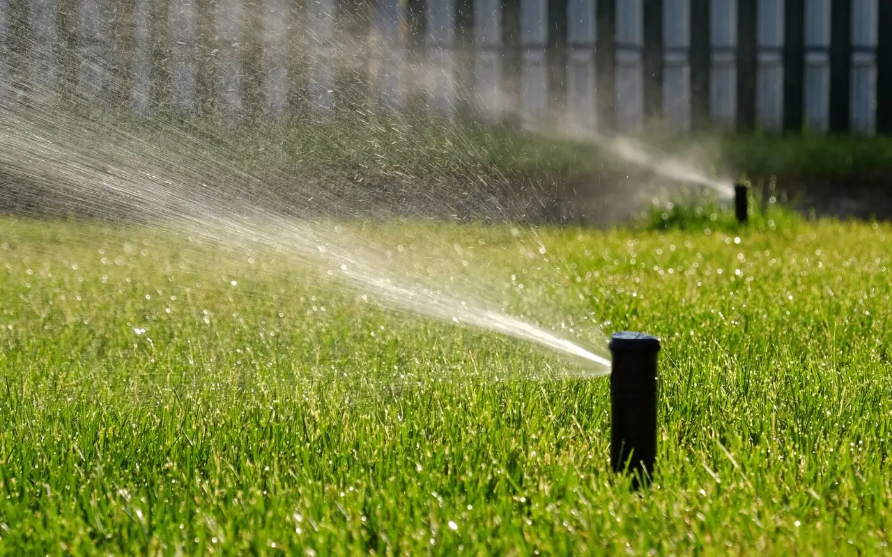 Come irrigare il giardino risparmiando acqua: la strategia della pacciamatura spiegata dagli esperti Come irrigare il giardino risparmiando acqua: la strategia della pacciamatura spiegata dagli esperti