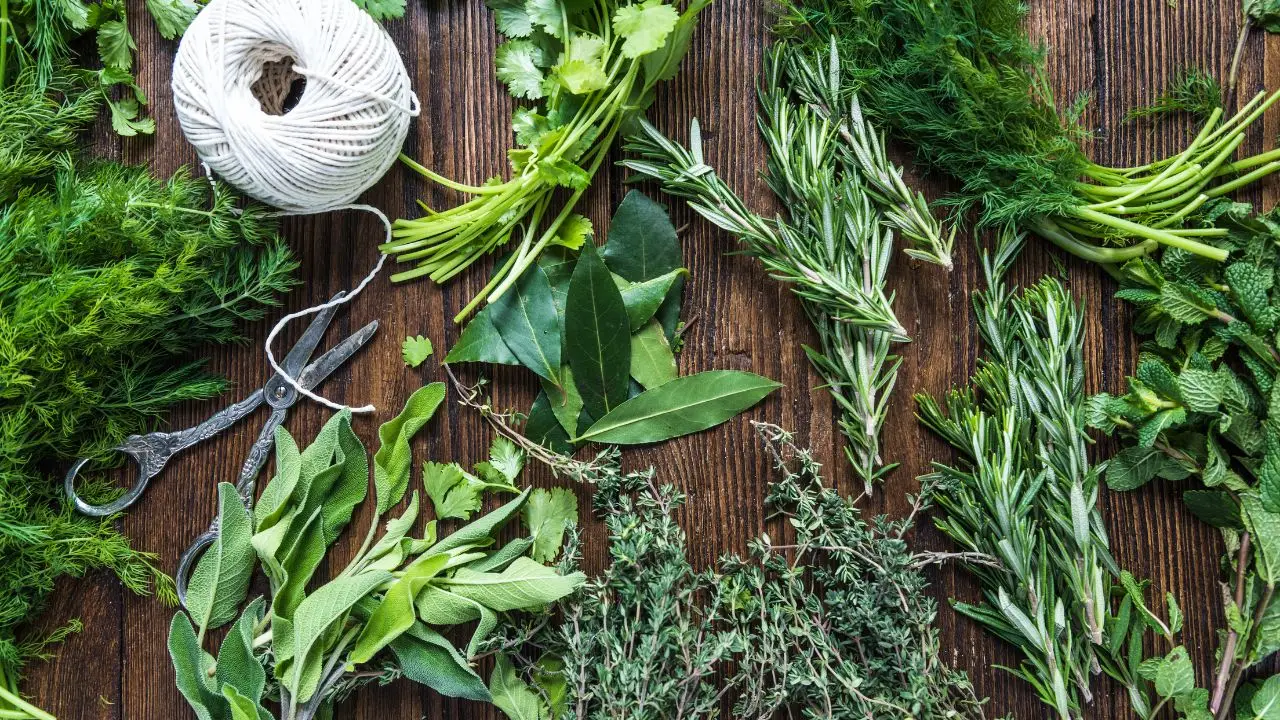 Scopri le erbe aromatiche più resistenti al sole per balconi esposti a sud: la selezione degli agronomi Scopri le erbe aromatiche più resistenti al sole per balconi esposti a sud: la selezione degli agronomi
