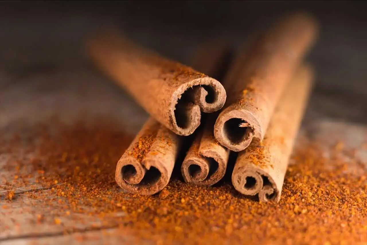 5 trucchi per evitare la muffa nei vasi in estate: la soluzione dei botanici per giugno 5 trucchi per evitare la muffa nei vasi in estate: la soluzione dei botanici per giugno