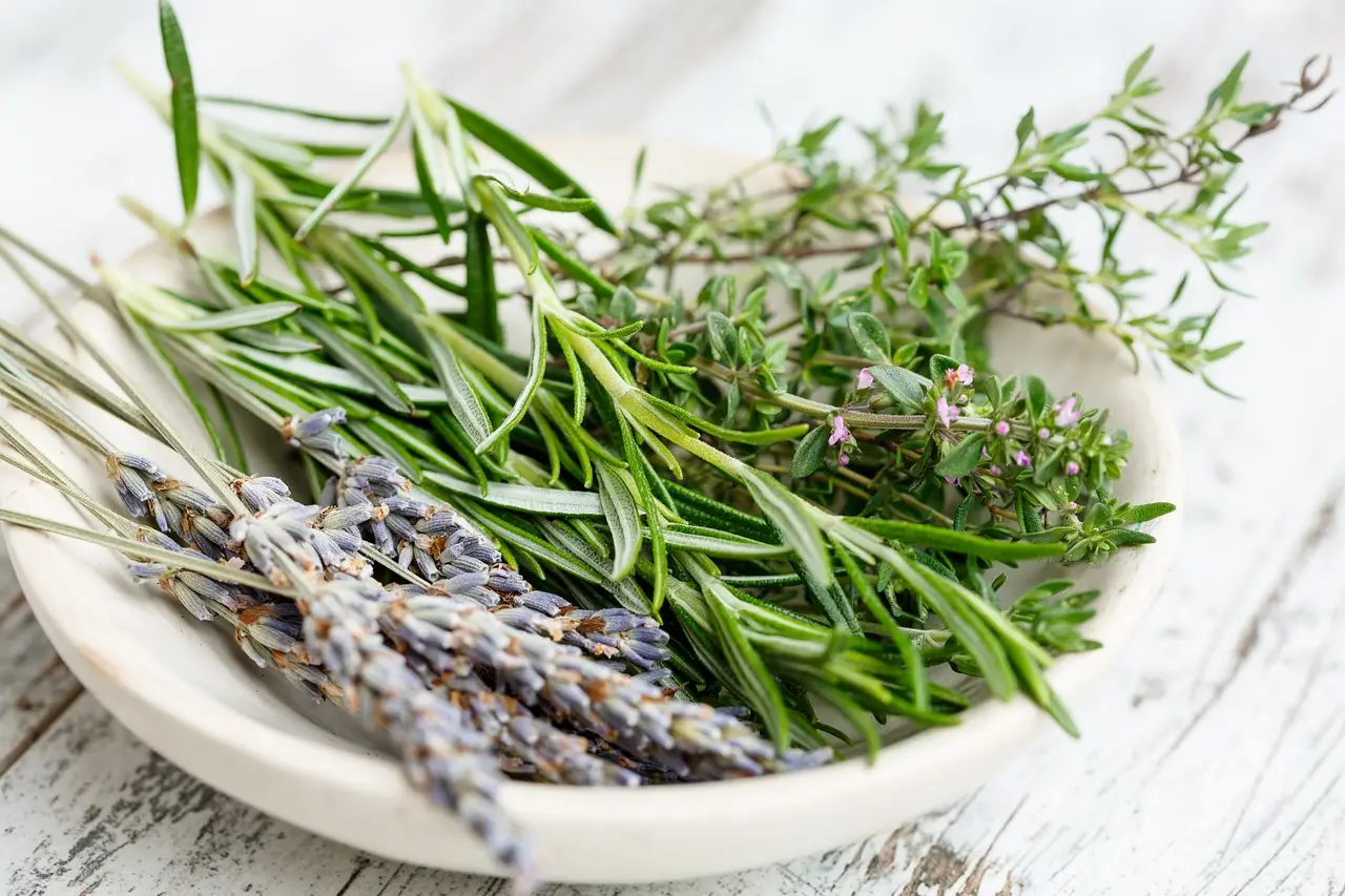 Come proteggere le radici delle aromatiche dal caldo: il metodo naturale suggerito dagli agronomi Come proteggere le radici delle aromatiche dal caldo: il metodo naturale suggerito dagli agronomi
