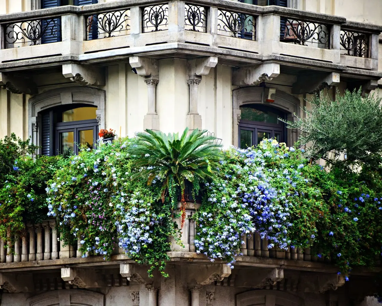 Come realizzare una zona d’ombra naturale sul terrazzo: le soluzioni dei paesaggisti per giugno Come realizzare una zona d’ombra naturale sul terrazzo: le soluzioni dei paesaggisti per giugno