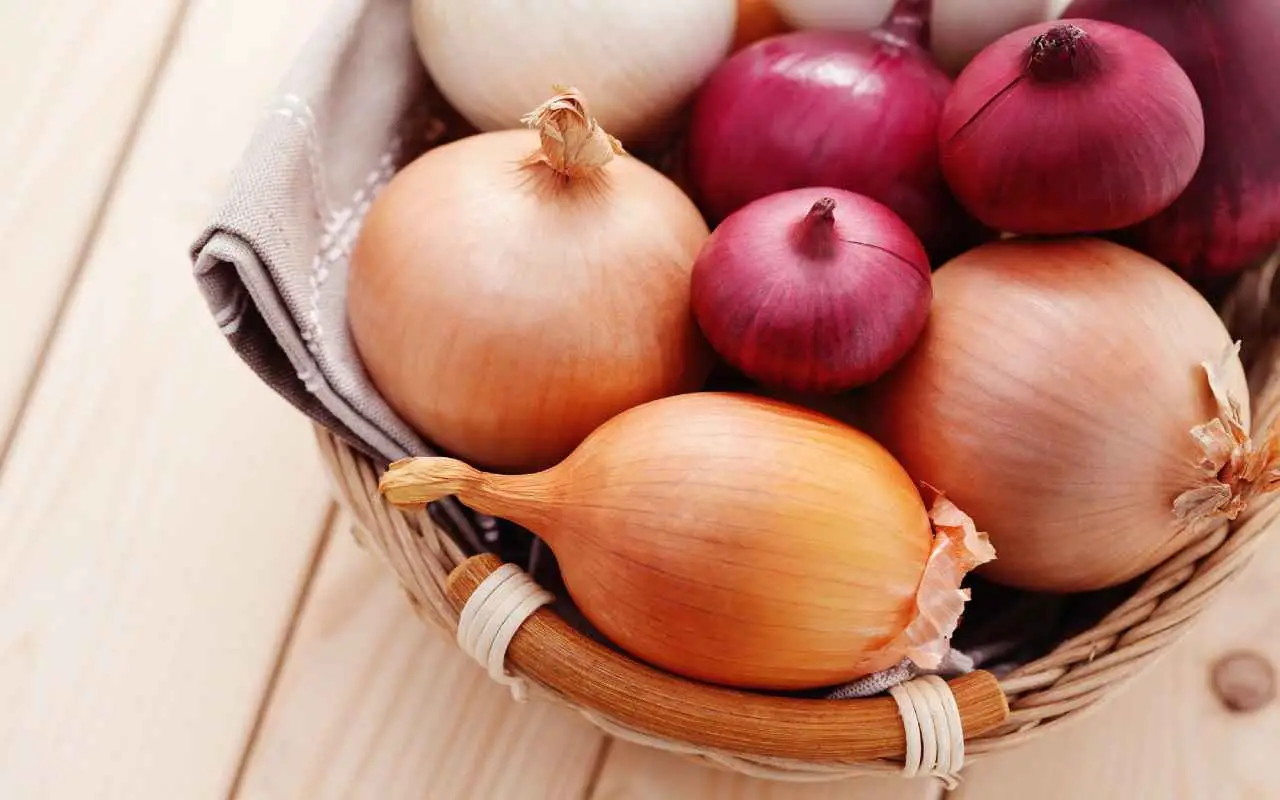 Come ottenere un raccolto di cipolle abbondante a giugno: il consiglio dell’agronomo per la semina perfetta Come ottenere un raccolto di cipolle abbondante a giugno: il consiglio dell’agronomo per la semina perfetta