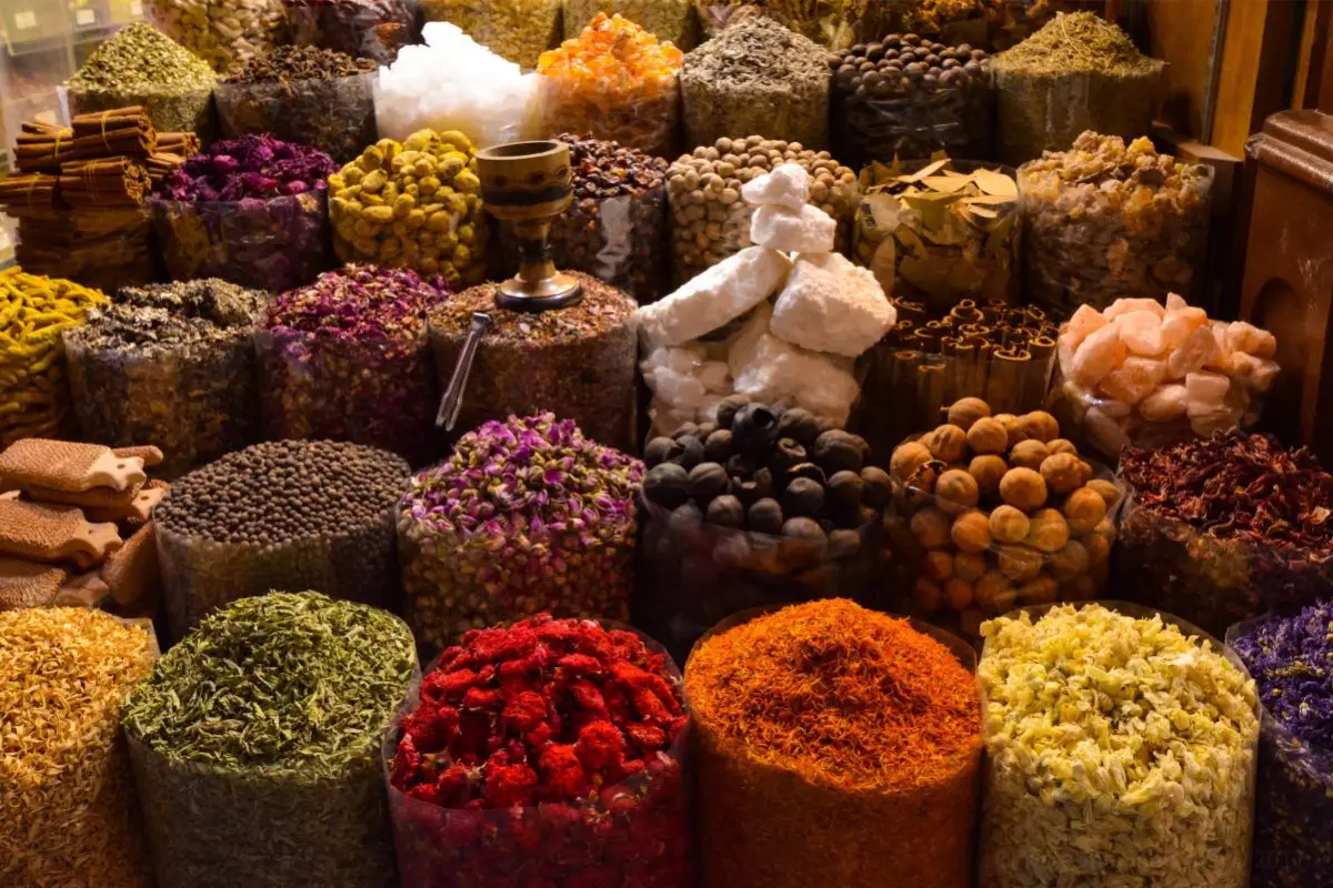 Scopri le migliori spezie da coltivare in vaso per arricchire le ricette estive: i consigli dell’Accademia Italiana di Agricoltura Scopri le migliori spezie da coltivare in vaso per arricchire le ricette estive: i consigli dell’Accademia Italiana di Agricoltura