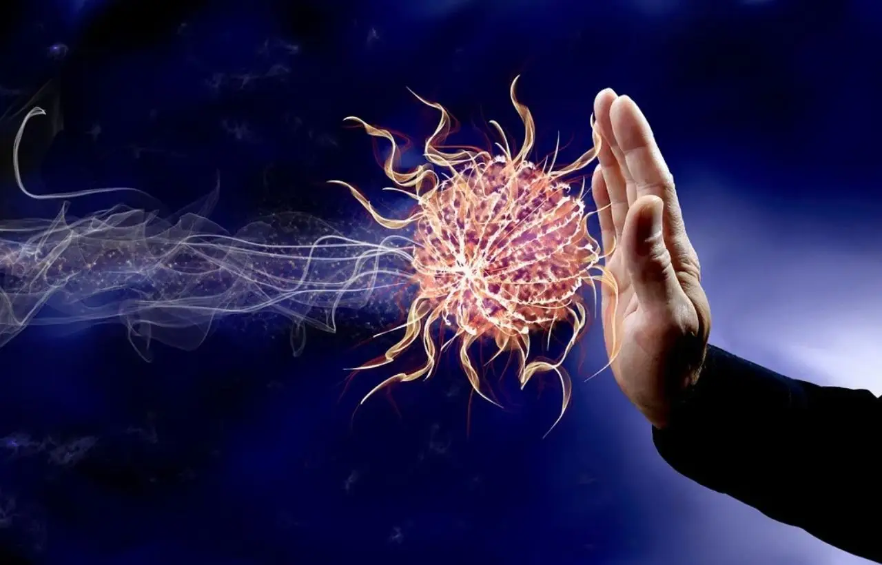 5 cibi estivi che rafforzano il sistema immunitario: la guida dei nutrizionisti per giugno 5 cibi estivi che rafforzano il sistema immunitario: la guida dei nutrizionisti per giugno