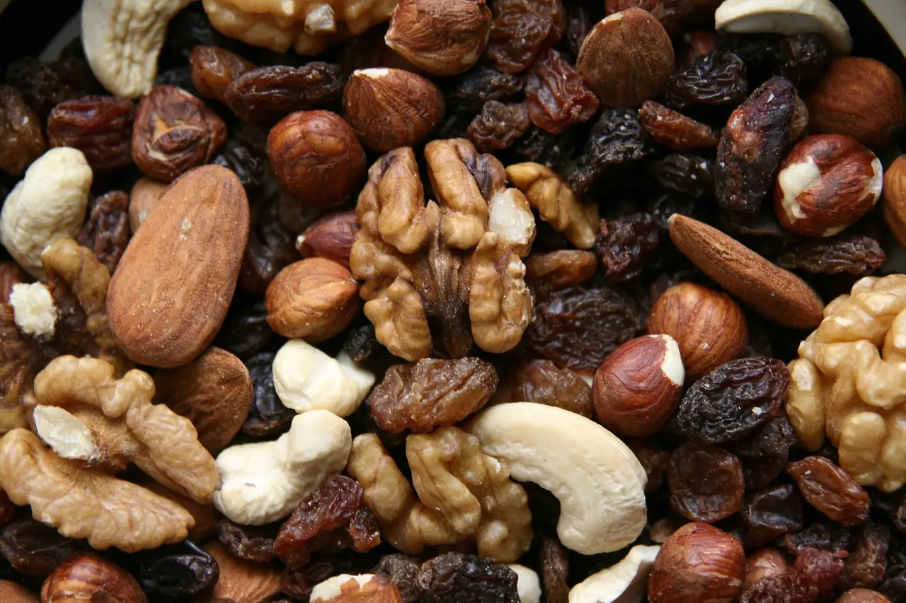 Come migliorare la memoria con la frutta secca: ecco il consiglio dei nutrizionisti Come migliorare la memoria con la frutta secca: ecco il consiglio dei nutrizionisti