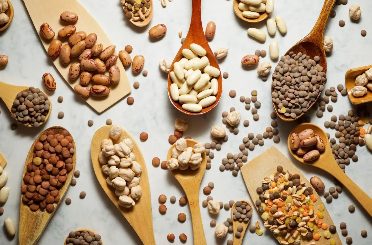 Quali proteine vegetali scegliere per ossa forti dopo i 50 anni: ecco la classifica delle migliori Quali proteine vegetali scegliere per ossa forti dopo i 50 anni: ecco la classifica delle migliori