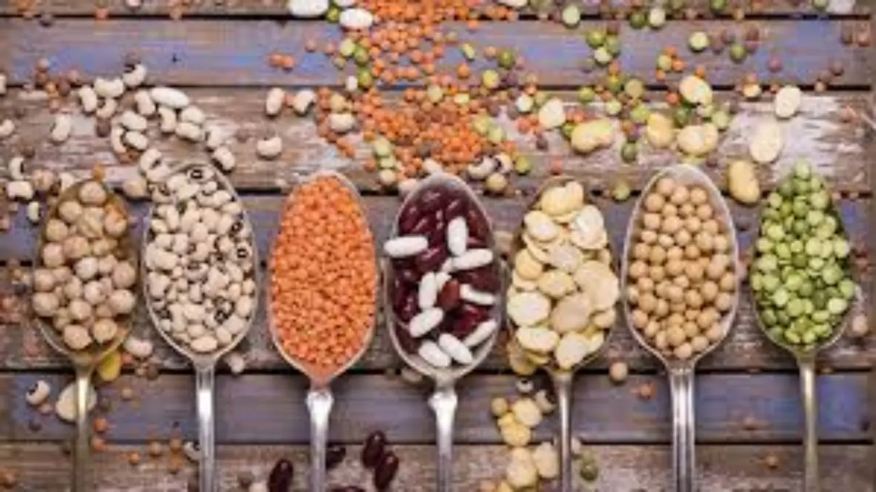 Quali proteine vegetali scegliere per ossa forti dopo i 50 anni: ecco la classifica delle migliori Quali proteine vegetali scegliere per ossa forti dopo i 50 anni: ecco la classifica delle migliori