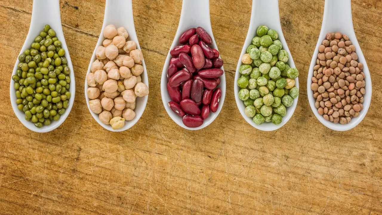 Quali proteine vegetali scegliere per ossa forti dopo i 50 anni: ecco la classifica delle migliori Quali proteine vegetali scegliere per ossa forti dopo i 50 anni: ecco la classifica delle migliori